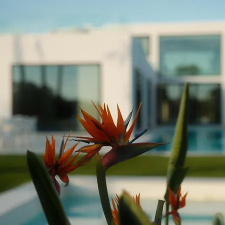Villa Contemporary Near Sitges Hills